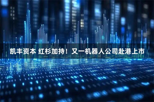 凯丰资本 红杉加持！又一机器人公司赴港上市