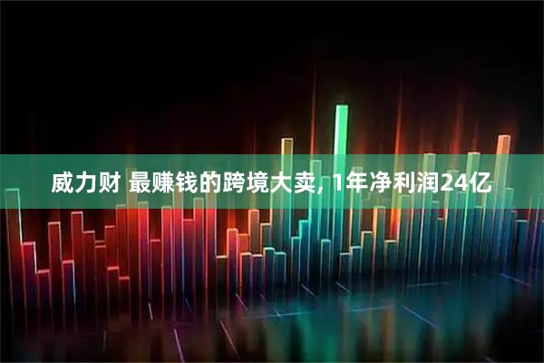 威力财 最赚钱的跨境大卖, 1年净利润24亿